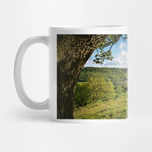 Swaledale Views Mug